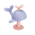 Baby Teething Toys